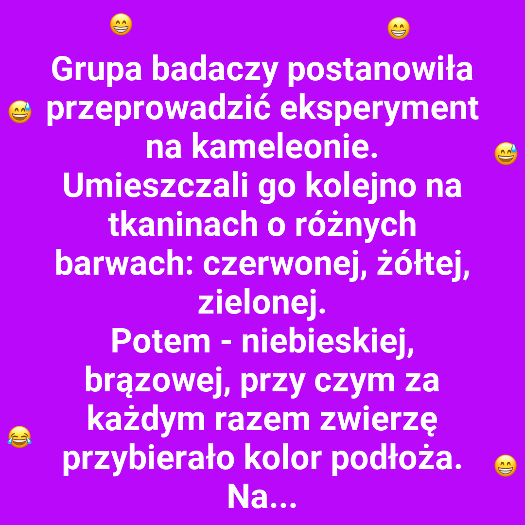 Kameleon kontra konfetti