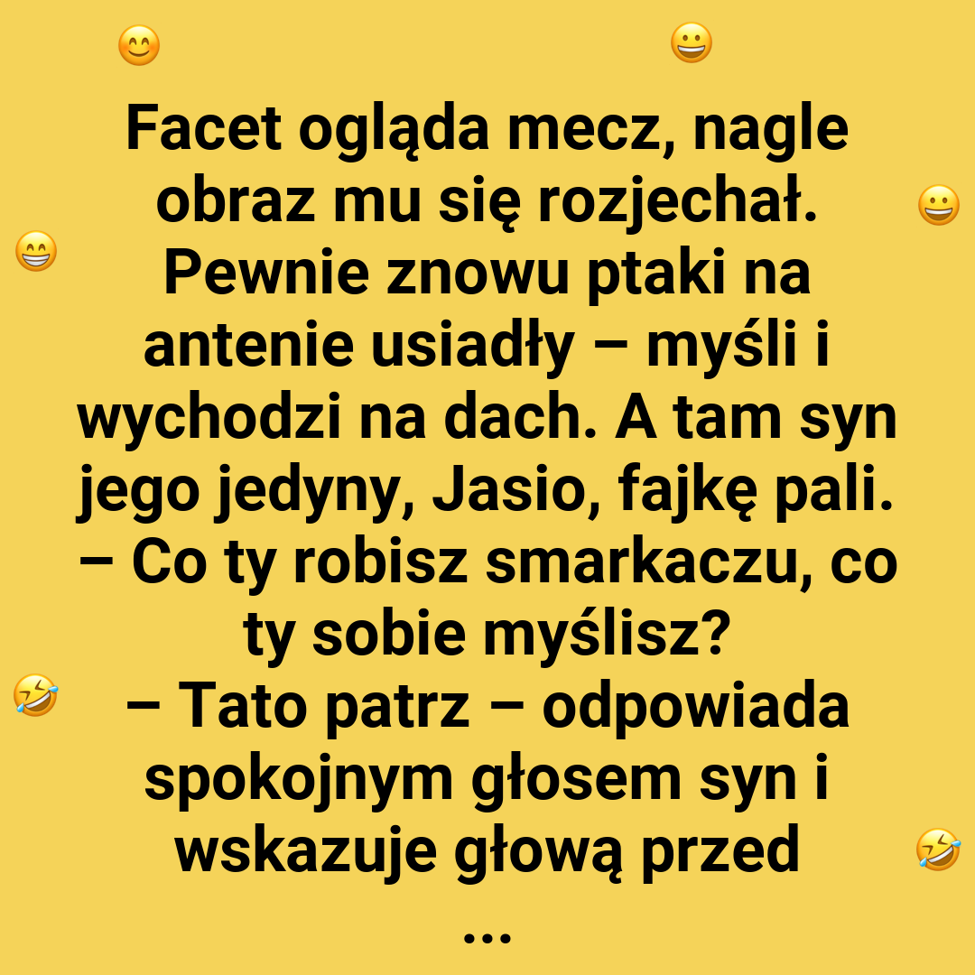 Kółka na dachu