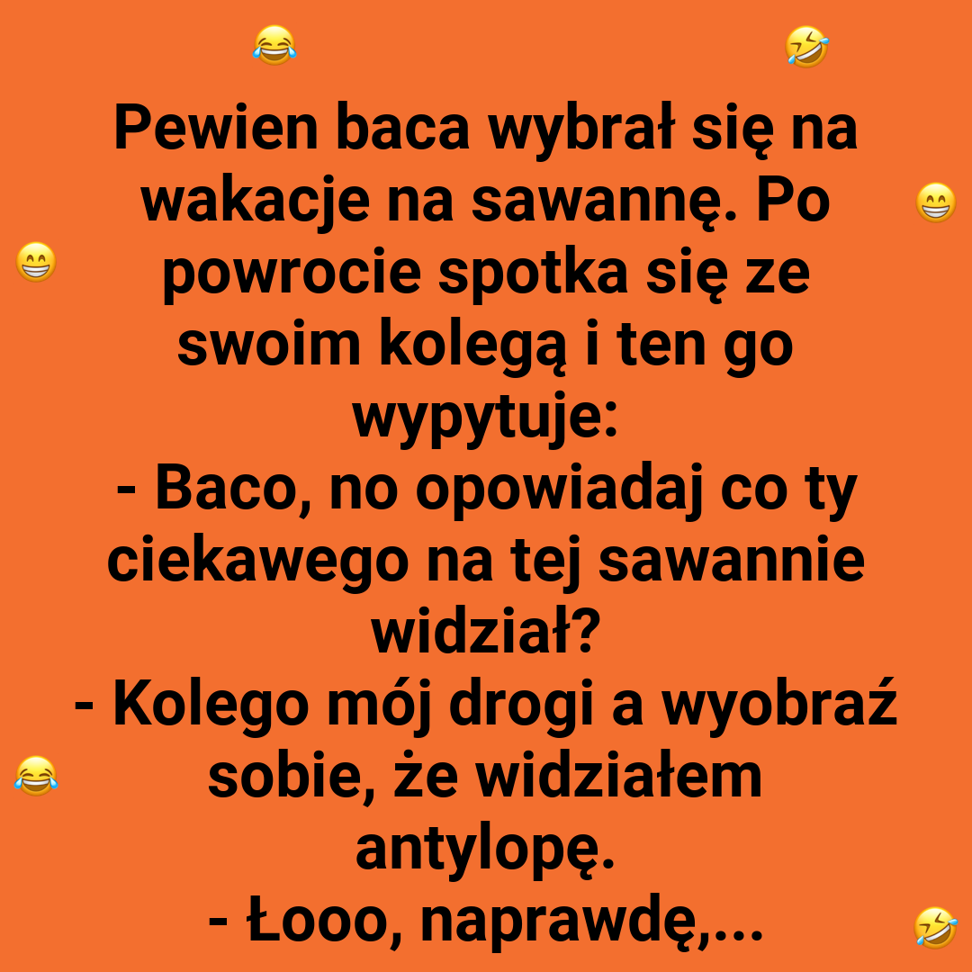 Końskie porównania