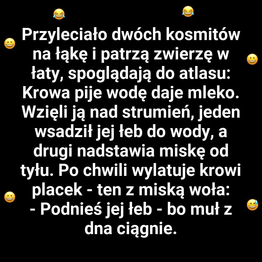 Kosmici i krowa