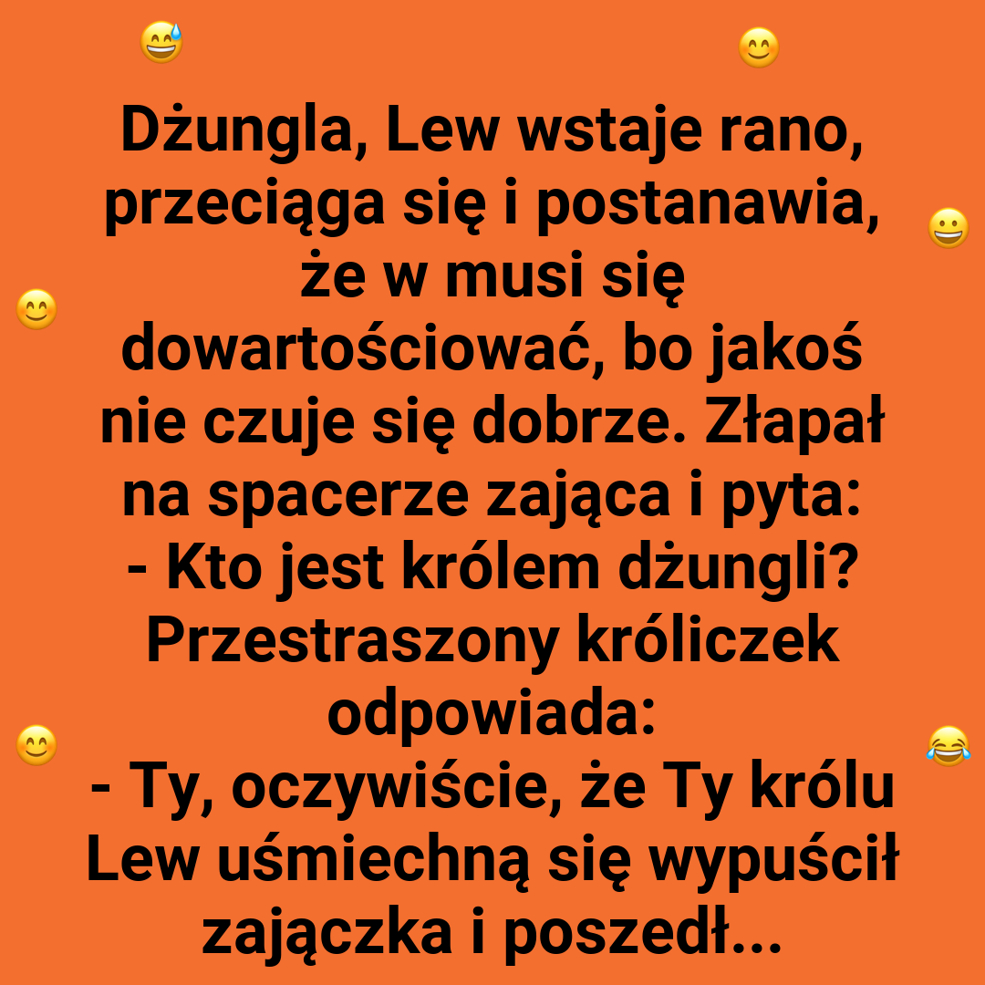 Królewskie ambicje