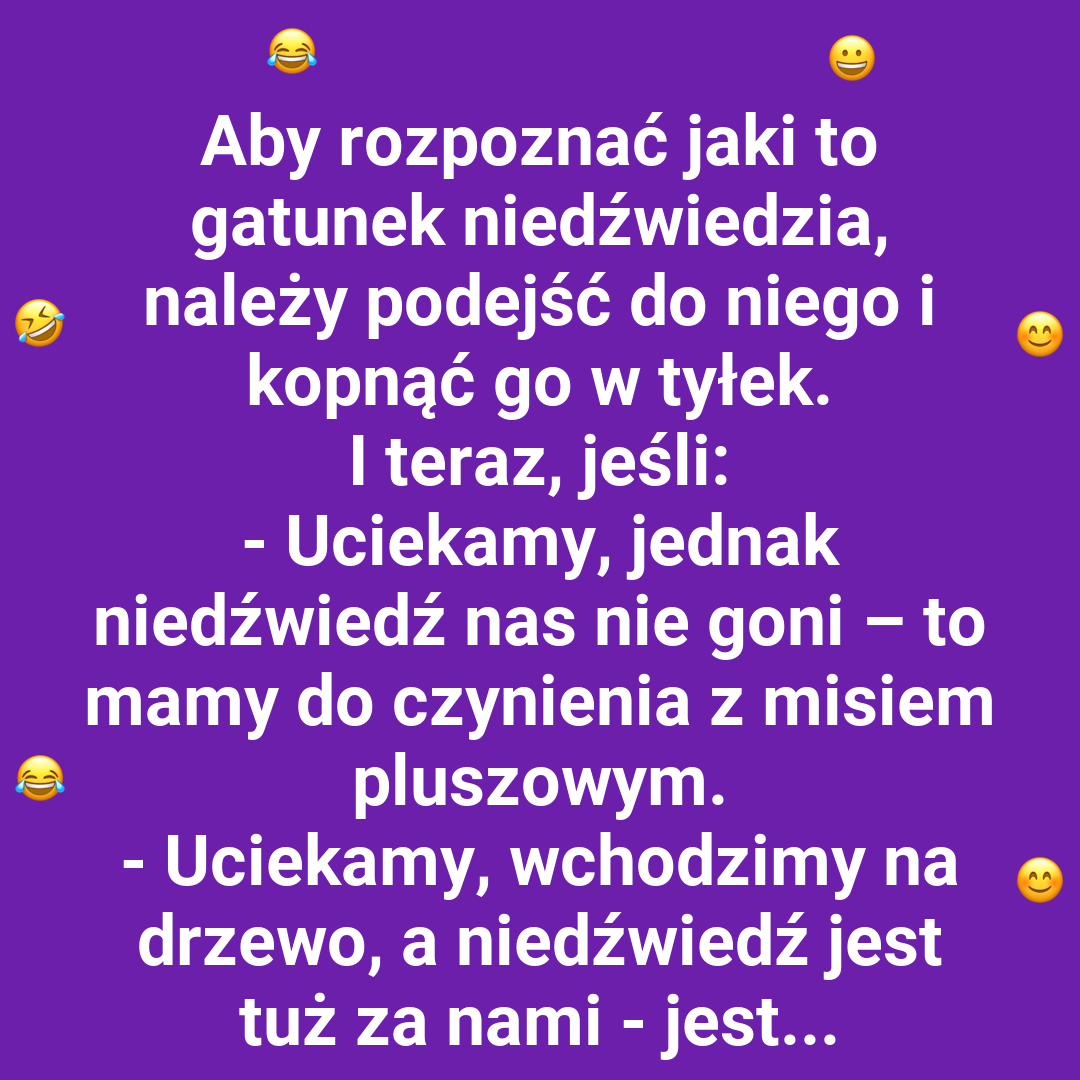 Niedźwiedzia klasyfikacja