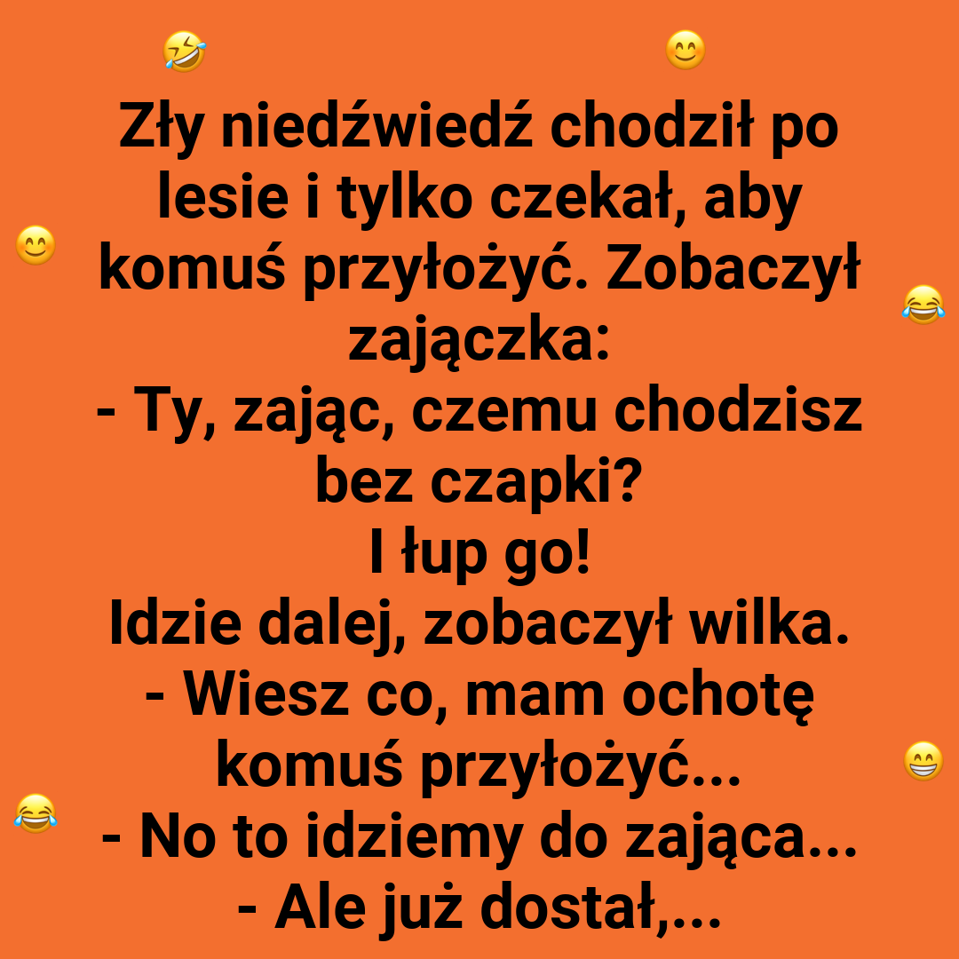 Niedźwiedzia logika