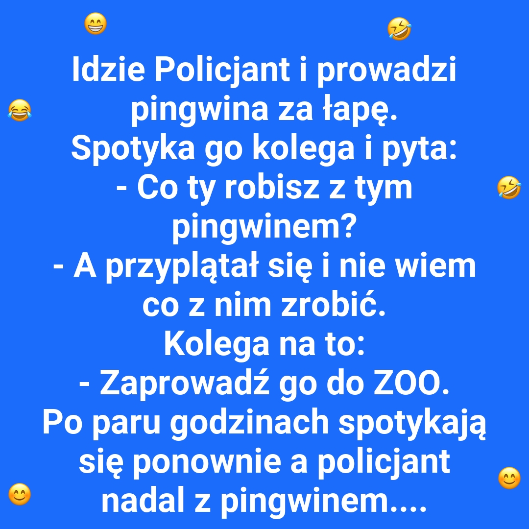 Policjant i pingwin na mieście