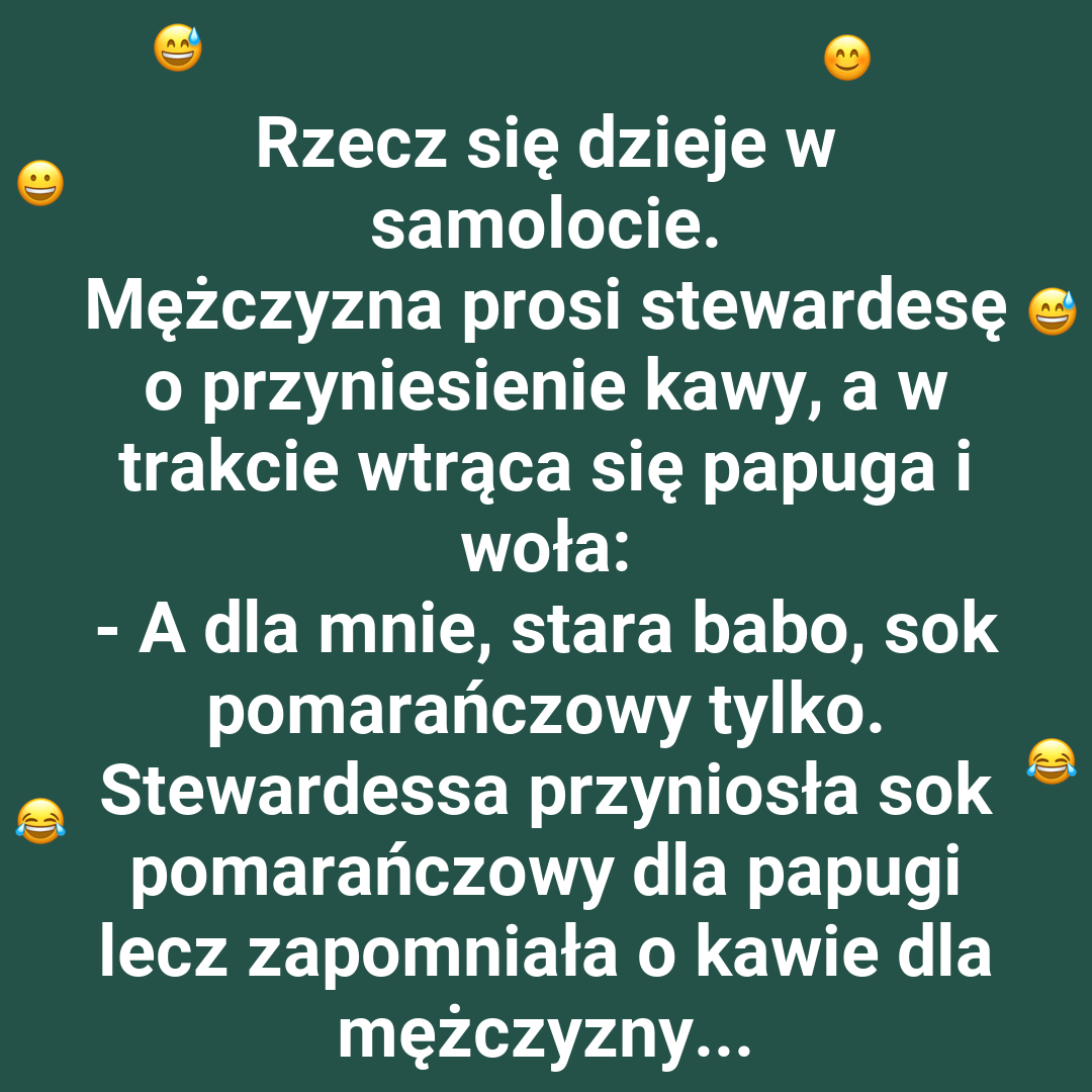 Przygoda na wysokościach