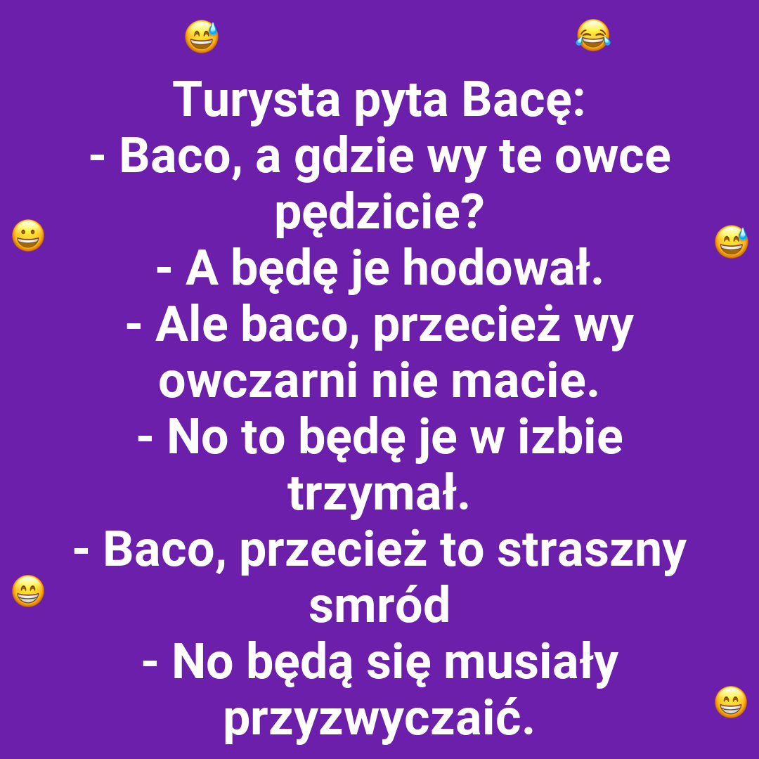 Przyzwyczajenie owiec