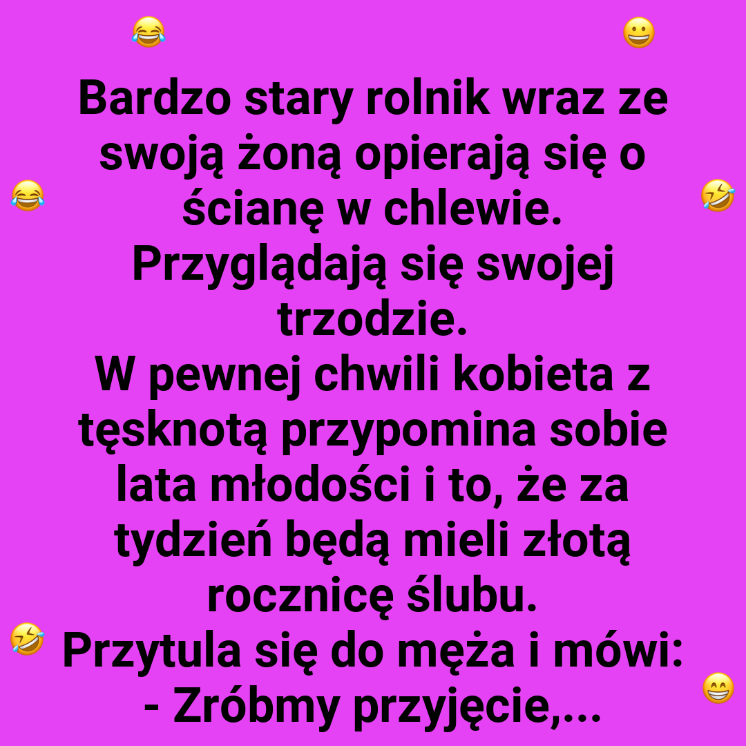 Świńskie szczęście