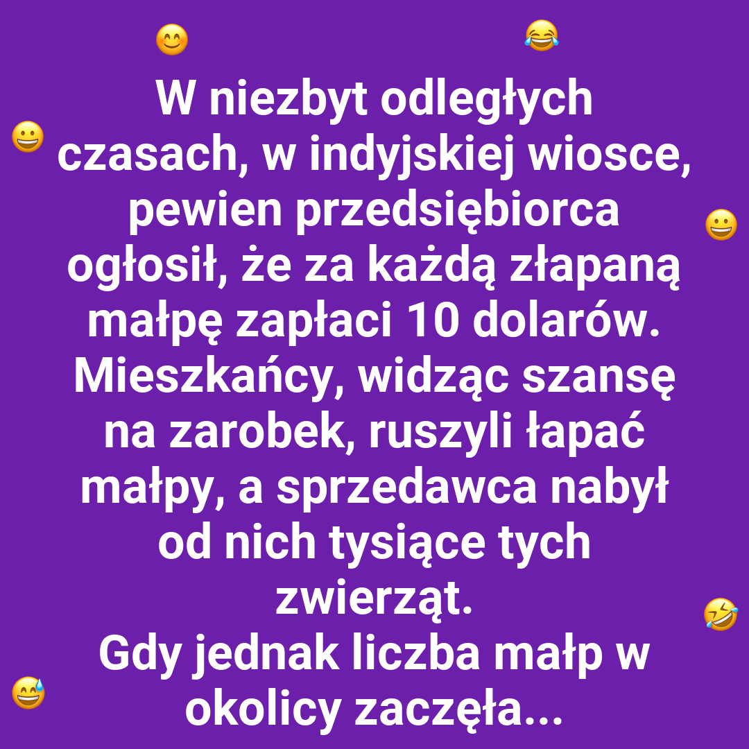 Wall Street w wersji małpiej