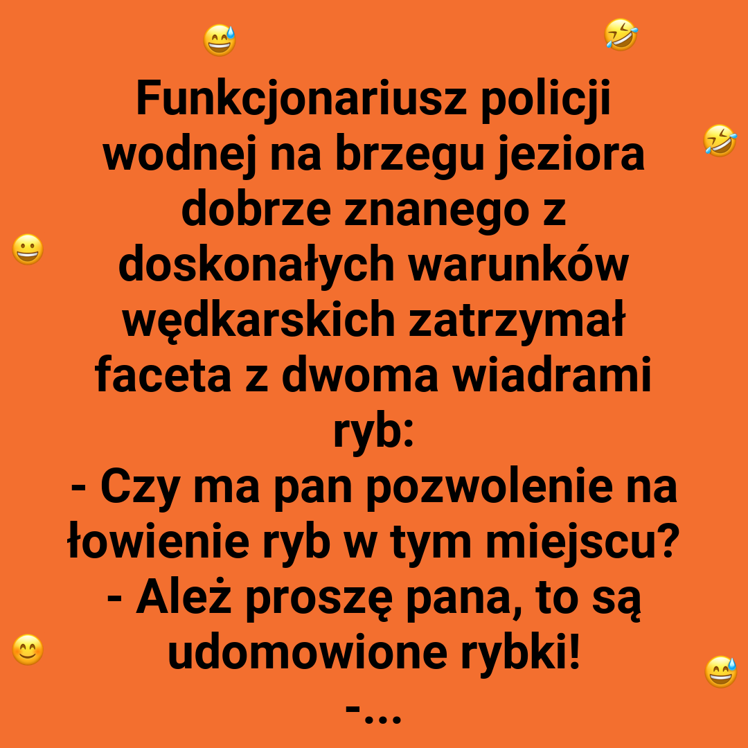 Zaginione udomowione rybki