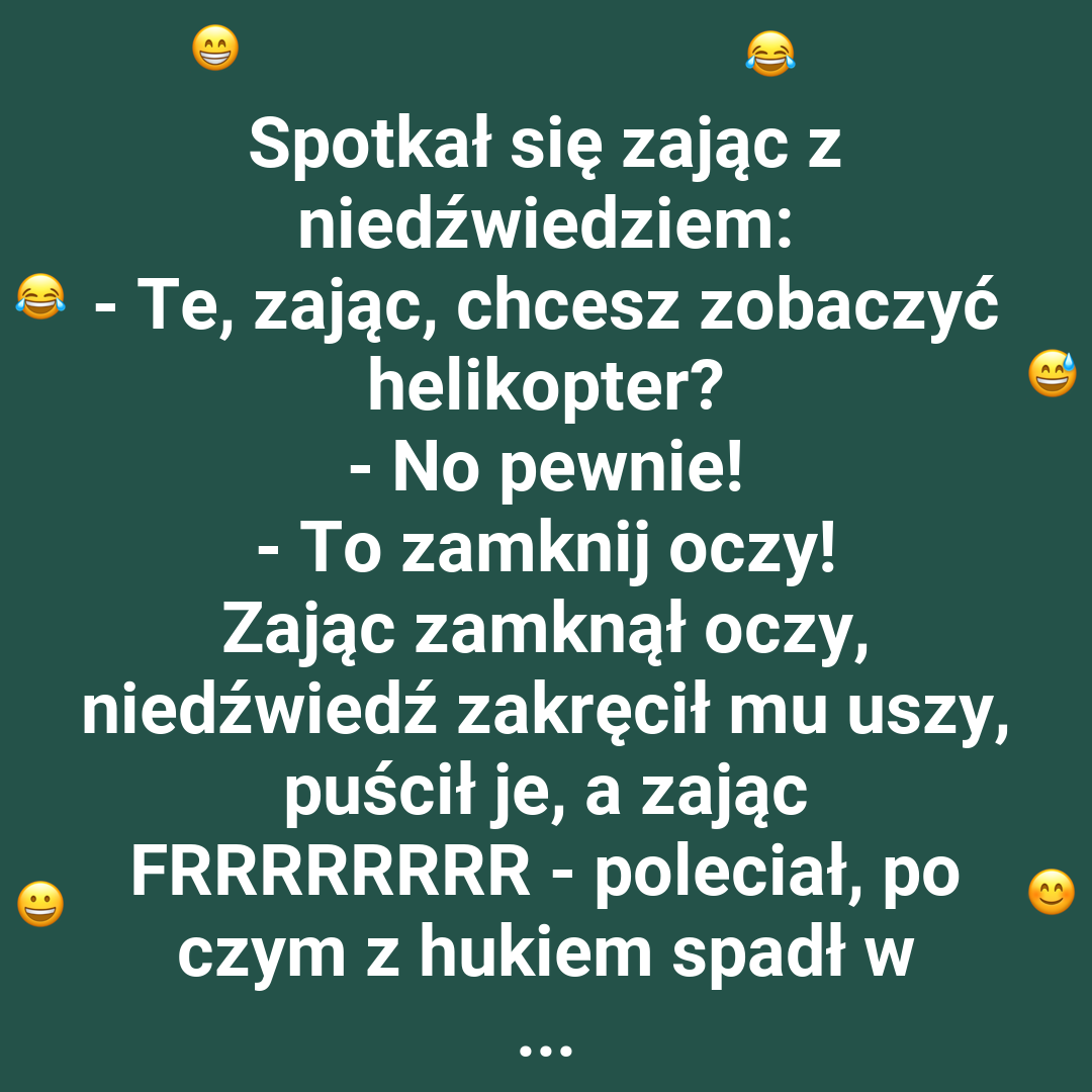 Zając kontra niedźwiedź